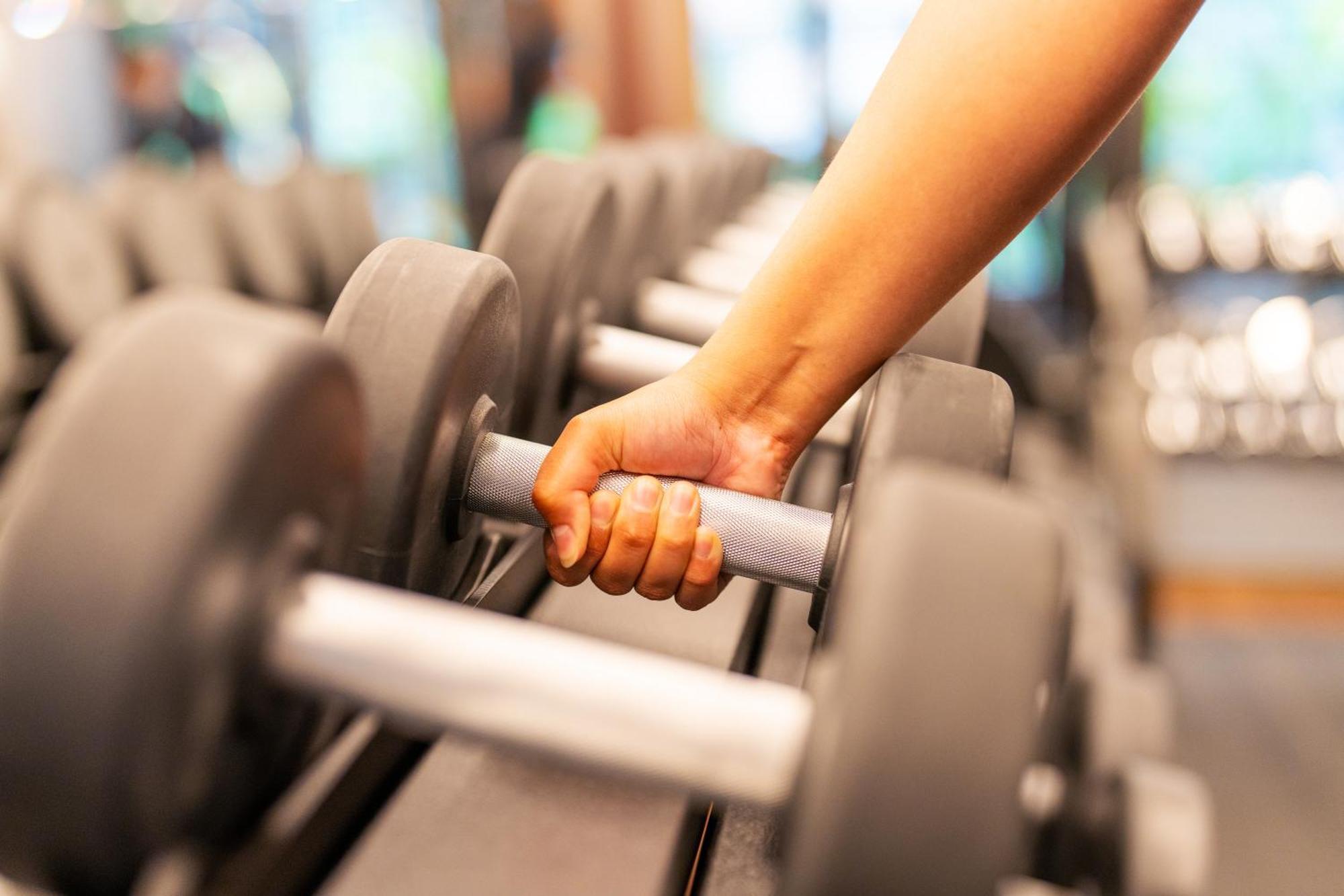 فندق Rosewood ساو باولو المظهر الخارجي الصورة Dumbbells on a rack